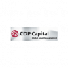 CDP Capital Technology Ventures